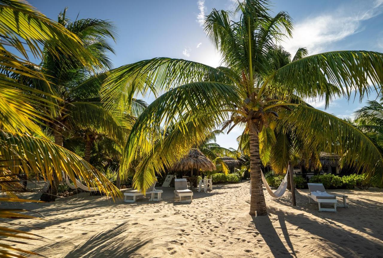 Caribbean Beach Cabanas Placencia المظهر الخارجي الصورة