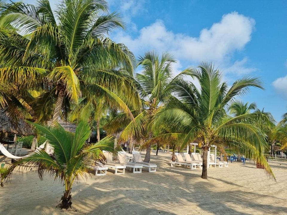 Caribbean Beach Cabanas Placencia المظهر الخارجي الصورة