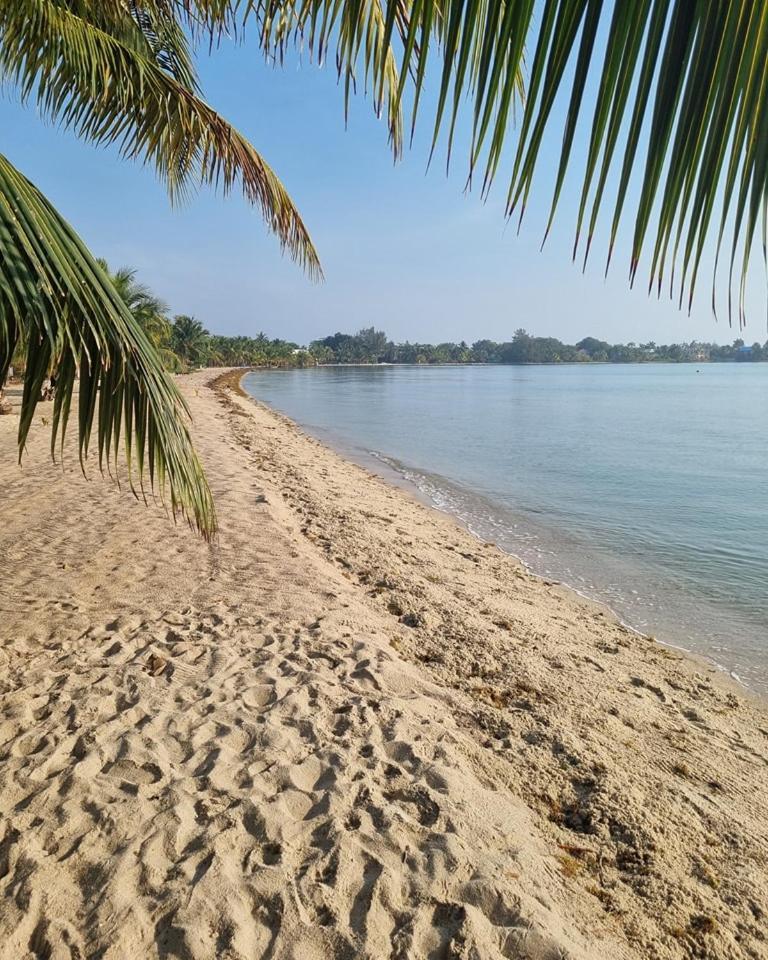 Caribbean Beach Cabanas Placencia المظهر الخارجي الصورة