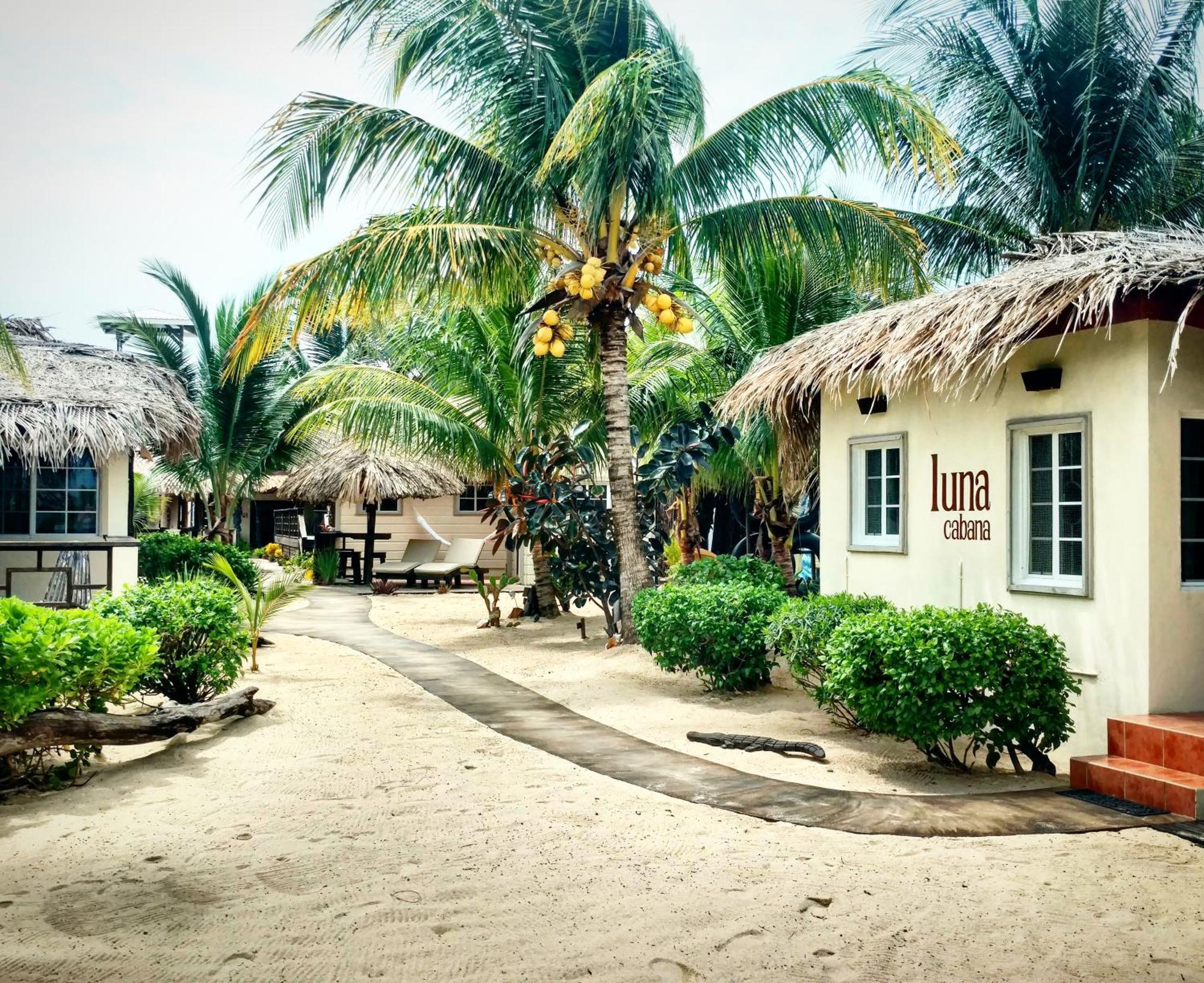 Caribbean Beach Cabanas Placencia المظهر الخارجي الصورة