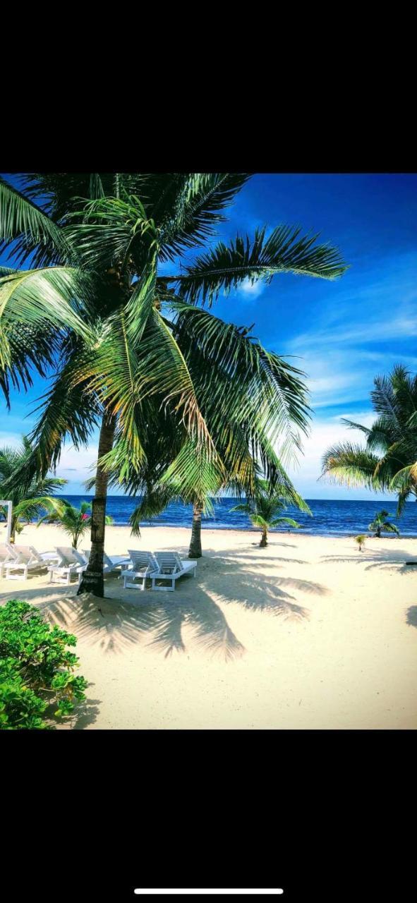 Caribbean Beach Cabanas Placencia المظهر الخارجي الصورة